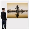Picture of Mirrored Water _GroupedProduct_Rectangle_Landscape_Photography _GroupedProduct_Rectangle_Landscape_Canvas_