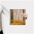 Picture of Mustard Forest _GroupedProduct_Square_Photography _GroupedProduct_Square_Canvas_