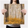 Picture of Mustard Forest _GroupedProduct_Square_Photography _GroupedProduct_Square_Canvas_
