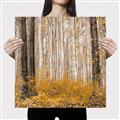 Picture of Mustard Forest _GroupedProduct_Square_Photography _GroupedProduct_Square_Canvas_