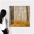 Picture of Mustard Forest _GroupedProduct_Square_Photography _GroupedProduct_Square_Canvas_