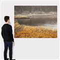 Picture of Mustard Grass Lake _GroupedProduct_Rectangle_Landscape_Photography _GroupedProduct_Rectangle_Landscape_Canvas_