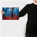 Picture of Mysterious Woods  _GroupedProduct_Rectangle_Landscape_Photography _GroupedProduct_Rectangle_Landscape_Canvas_