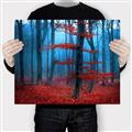 Picture of Mysterious Woods  _GroupedProduct_Rectangle_Landscape_Photography _GroupedProduct_Rectangle_Landscape_Canvas_