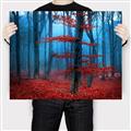 Picture of Mysterious Woods  _GroupedProduct_Rectangle_Landscape_Photography _GroupedProduct_Rectangle_Landscape_Canvas_