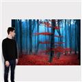 Picture of Mysterious Woods  _GroupedProduct_Rectangle_Landscape_Photography _GroupedProduct_Rectangle_Landscape_Canvas_