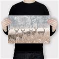Picture of Oh Deer  _GroupedProduct_Rectangle_Landscape_Photography _GroupedProduct_Rectangle_Landscape_Canvas_