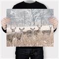 Picture of Oh Deer  _GroupedProduct_Rectangle_Landscape_Photography _GroupedProduct_Rectangle_Landscape_Canvas_