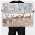 Picture of Oh Deer  _GroupedProduct_Rectangle_Landscape_Photography _GroupedProduct_Rectangle_Landscape_Canvas_
