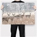 Picture of Oh Deer  _GroupedProduct_Rectangle_Landscape_Photography _GroupedProduct_Rectangle_Landscape_Canvas_