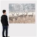 Picture of Oh Deer  _GroupedProduct_Rectangle_Landscape_Photography _GroupedProduct_Rectangle_Landscape_Canvas_