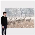 Picture of Oh Deer  _GroupedProduct_Rectangle_Landscape_Photography _GroupedProduct_Rectangle_Landscape_Canvas_