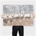 Picture of Oh Deer  _GroupedProduct_Rectangle_Landscape_Photography _GroupedProduct_Rectangle_Landscape_Canvas_