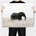 Picture of Out of Africa  _GroupedProduct_Rectangle_Landscape_Photography _GroupedProduct_Rectangle_Landscape_Canvas_