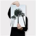 Picture of Palm Trees  _GroupedProduct_Rectangle_Portrait_Photography _GroupedProduct_Rectangle_Portrait_Canvas_