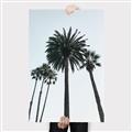 Picture of Palm Trees  _GroupedProduct_Rectangle_Portrait_Photography _GroupedProduct_Rectangle_Portrait_Canvas_