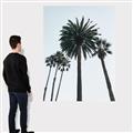 Picture of Palm Trees  _GroupedProduct_Rectangle_Portrait_Photography _GroupedProduct_Rectangle_Portrait_Canvas_