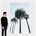 Picture of Palm Trees  _GroupedProduct_Rectangle_Portrait_Photography _GroupedProduct_Rectangle_Portrait_Canvas_