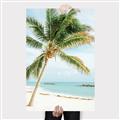 Picture of Palm Trees II _GroupedProduct_Rectangle_Portrait_Photography _GroupedProduct_Rectangle_Portrait_Canvas_