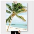 Picture of Palm Trees II _GroupedProduct_Rectangle_Portrait_Photography _GroupedProduct_Rectangle_Portrait_Canvas_