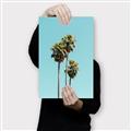 Picture of Palm Trees III _GroupedProduct_Rectangle_Portrait_Photography _GroupedProduct_Rectangle_Portrait_Canvas_