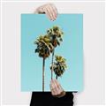 Picture of Palm Trees III _GroupedProduct_Rectangle_Portrait_Photography _GroupedProduct_Rectangle_Portrait_Canvas_