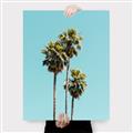 Picture of Palm Trees III _GroupedProduct_Rectangle_Portrait_Photography _GroupedProduct_Rectangle_Portrait_Canvas_