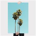 Picture of Palm Trees III _GroupedProduct_Rectangle_Portrait_Photography _GroupedProduct_Rectangle_Portrait_Canvas_