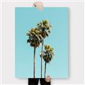 Picture of Palm Trees III _GroupedProduct_Rectangle_Portrait_Photography _GroupedProduct_Rectangle_Portrait_Canvas_