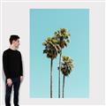 Picture of Palm Trees III _GroupedProduct_Rectangle_Portrait_Photography _GroupedProduct_Rectangle_Portrait_Canvas_