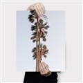 Picture of Palm Trees IV _GroupedProduct_Rectangle_Portrait_Photography _GroupedProduct_Rectangle_Portrait_Canvas_