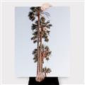 Picture of Palm Trees IV _GroupedProduct_Rectangle_Portrait_Photography _GroupedProduct_Rectangle_Portrait_Canvas_