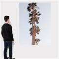 Picture of Palm Trees IV _GroupedProduct_Rectangle_Portrait_Photography _GroupedProduct_Rectangle_Portrait_Canvas_