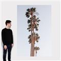 Picture of Palm Trees IV _GroupedProduct_Rectangle_Portrait_Photography _GroupedProduct_Rectangle_Portrait_Canvas_