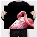 Picture of Pink in Contrast  _GroupedProduct_Rectangle_Landscape_Photography _GroupedProduct_Rectangle_Landscape_Canvas_