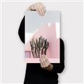 Picture of Pink Cactus II _GroupedProduct_Rectangle_Portrait_Photography _GroupedProduct_Rectangle_Portrait_Canvas_