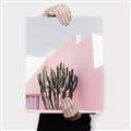 Picture of Pink Cactus II _GroupedProduct_Rectangle_Portrait_Photography _GroupedProduct_Rectangle_Portrait_Canvas_