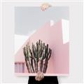 Picture of Pink Cactus II _GroupedProduct_Rectangle_Portrait_Photography _GroupedProduct_Rectangle_Portrait_Canvas_