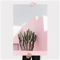 Picture of Pink Cactus II _GroupedProduct_Rectangle_Portrait_Photography _GroupedProduct_Rectangle_Portrait_Canvas_