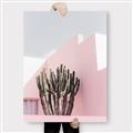 Picture of Pink Cactus II _GroupedProduct_Rectangle_Portrait_Photography _GroupedProduct_Rectangle_Portrait_Canvas_