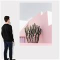 Picture of Pink Cactus II _GroupedProduct_Rectangle_Portrait_Photography _GroupedProduct_Rectangle_Portrait_Canvas_