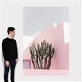Picture of Pink Cactus II _GroupedProduct_Rectangle_Portrait_Photography _GroupedProduct_Rectangle_Portrait_Canvas_
