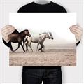 Picture of Ride Along _GroupedProduct_Rectangle_Landscape_Photography _GroupedProduct_Rectangle_Landscape_Canvas_