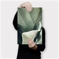 Picture of Sage Leaves  _GroupedProduct_Rectangle_Portrait_Photography _GroupedProduct_Rectangle_Portrait_Canvas_