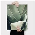 Picture of Sage Leaves  _GroupedProduct_Rectangle_Portrait_Photography _GroupedProduct_Rectangle_Portrait_Canvas_