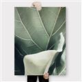 Picture of Sage Leaves  _GroupedProduct_Rectangle_Portrait_Photography _GroupedProduct_Rectangle_Portrait_Canvas_