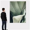 Picture of Sage Leaves  _GroupedProduct_Rectangle_Portrait_Photography _GroupedProduct_Rectangle_Portrait_Canvas_