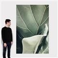 Picture of Sage Leaves  _GroupedProduct_Rectangle_Portrait_Photography _GroupedProduct_Rectangle_Portrait_Canvas_