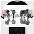 Picture of Sipping Zebras  _GroupedProduct_Rectangle_Landscape_Photography _GroupedProduct_Rectangle_Landscape_Canvas_