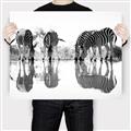 Picture of Sipping Zebras  _GroupedProduct_Rectangle_Landscape_Photography _GroupedProduct_Rectangle_Landscape_Canvas_